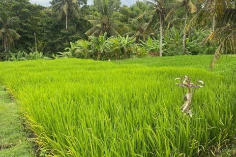 Tanah kavling 710m2 di Tabanan, Bali (13999) 2
