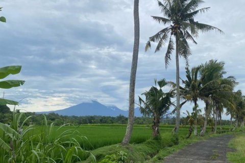 Tanah kavling 710m2 di Tabanan, Bali (13999) 3