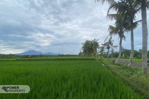 710m2 Land in Tabanan, Bali (13999)