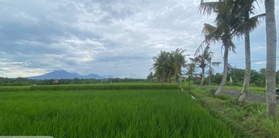 Tanah kavling 710m2 di Tabanan, Bali (13999)