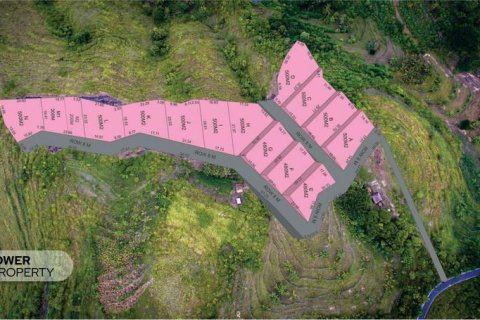 Tanah kavling 500m2 di Nusa Penida, Klungkung, Bali (13987) 14
