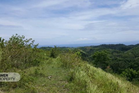 Tanah kavling 500m2 di Nusa Penida, Klungkung, Bali (13987) 2