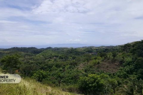 Tanah kavling 500m2 di Nusa Penida, Klungkung, Bali (13987) 4