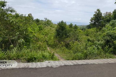 500m2 Land in Nusa Penida, Klungkung, Bali (13987)
