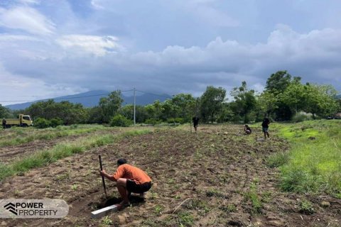 500m2 Land in Karangasem, Karang Asem, Bali (13982) 3