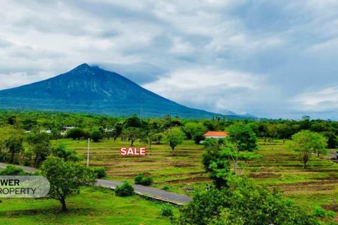 500m2 Land in Karangasem, Karang Asem, Bali (13982) 7