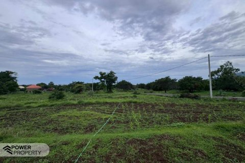 500m2 Land in Karangasem, Karang Asem, Bali (13982) 11