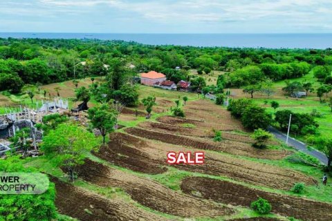 500m2 Land in Karangasem, Karang Asem, Bali (13982) 10