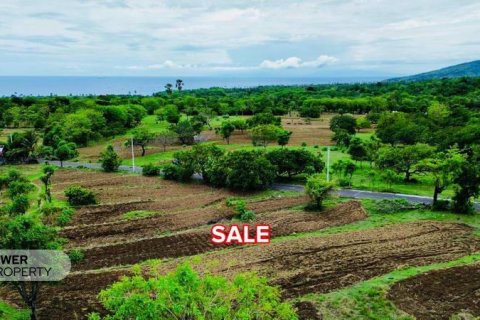 500m2 Land in Karangasem, Karang Asem, Bali (13982) 6