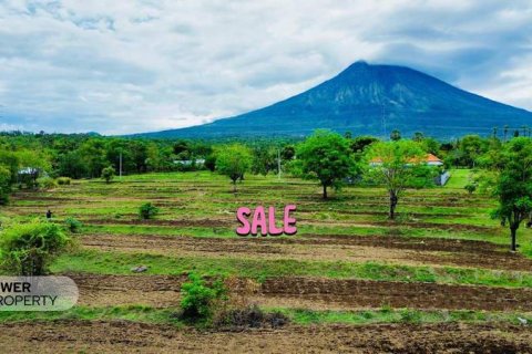 500m2 Land in Karangasem, Karang Asem, Bali (13982) 4