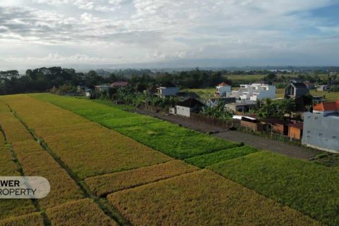 Tanah kavling 400m2 di Tabanan, Bali (13983) 23