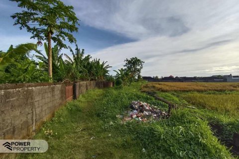 Tanah kavling 400m2 di Tabanan, Bali (13983) 28