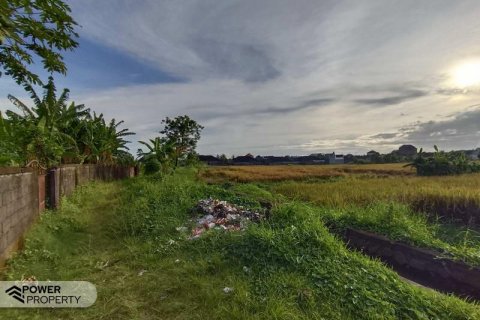 400m2 Land in Tabanan, Bali (13983)