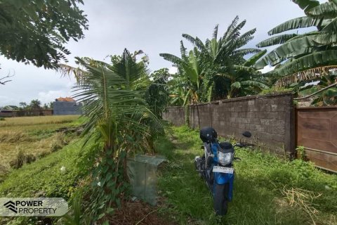 Tanah kavling 400m2 di Tabanan, Bali (13983) 9