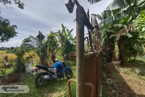 Tanah kavling 400m2 di Tabanan, Bali (13983) 2