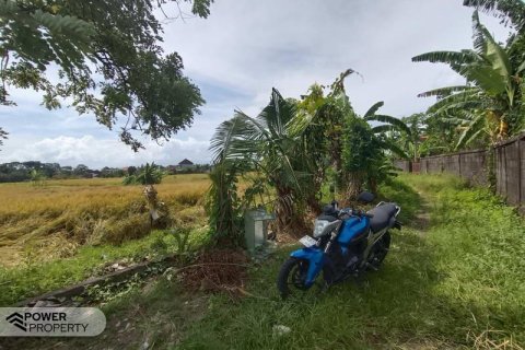 Tanah kavling 400m2 di Tabanan, Bali (13983) 10