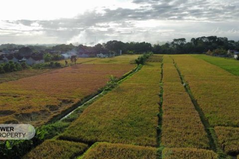 Tanah kavling 400m2 di Tabanan, Bali (13983) 21