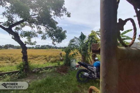 Tanah kavling 400m2 di Tabanan, Bali (13983) 3