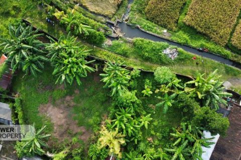 Tanah kavling 400m2 di Tabanan, Bali (13983) 19