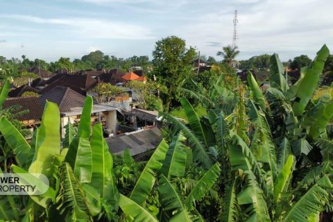 Tanah kavling 400m2 di Tabanan, Bali (13983) 16