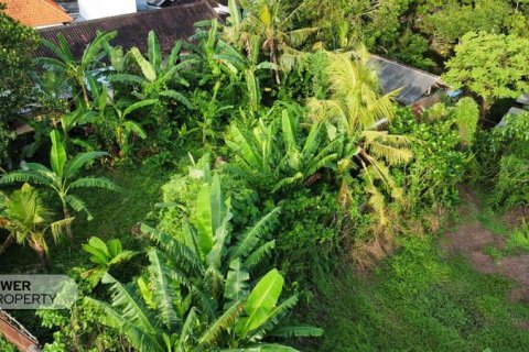 Tanah kavling 400m2 di Tabanan, Bali (13983) 15