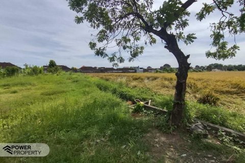 Tanah kavling 400m2 di Tabanan, Bali (13983) 14