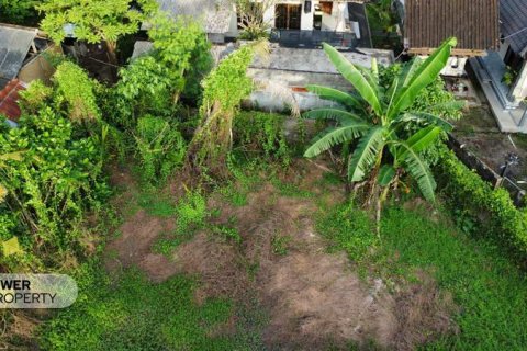 Tanah kavling 400m2 di Tabanan, Bali (13983) 18