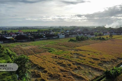 Tanah kavling 400m2 di Tabanan, Bali (13983) 22