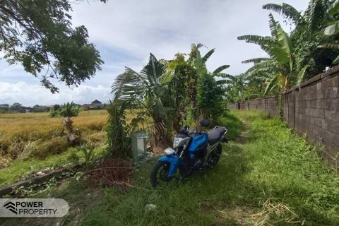 Tanah kavling 400m2 di Tabanan, Bali (13983) 12