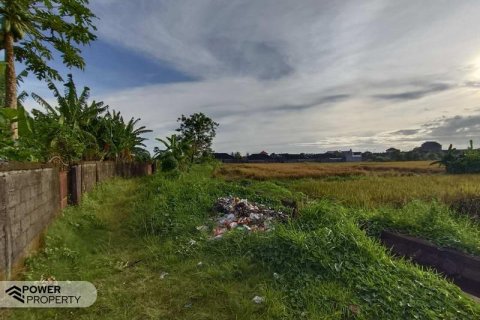 Tanah kavling 400m2 di Tabanan, Bali (13983) 26
