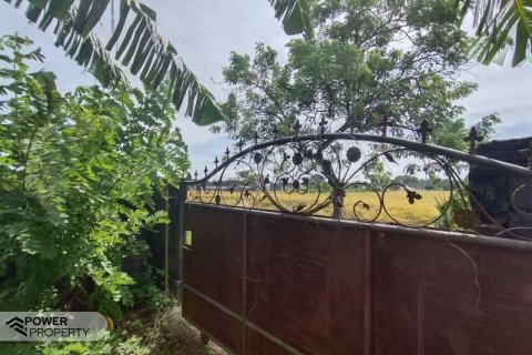 Tanah kavling 400m2 di Tabanan, Bali (13983) 4
