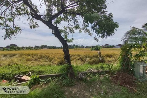 Tanah kavling 400m2 di Tabanan, Bali (13983) 11