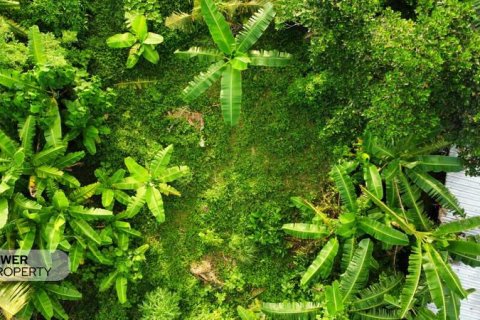 Tanah kavling 400m2 di Tabanan, Bali (13983) 24