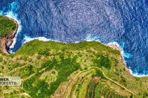Tanah kavling 545m2 di Nusa Penida, Klungkung, Bali (13988) 8