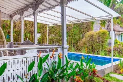 1 bedroom Villa in Ubud, Gianyar, Bali (11566) 3