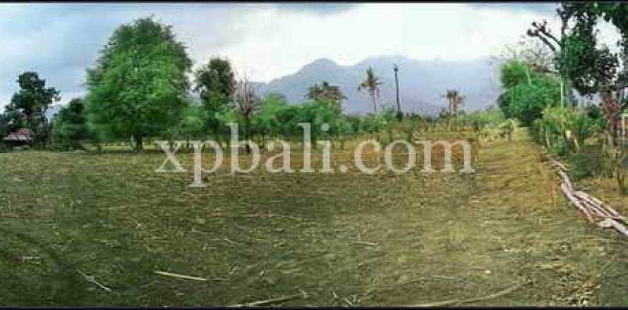 3200m2 Land in Lovina, Anturan, Buleleng, Bali (8527)