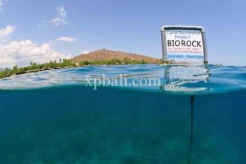 3200m2 Land in Lovina, Anturan, Buleleng, Bali (8527) 3