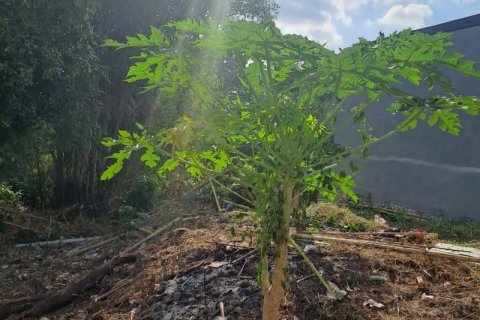 540m2 Land in Seminyak, Badung, Bali (5744) 5