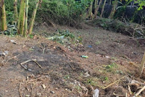540m2 Land in Seminyak, Badung, Bali (5744) 8