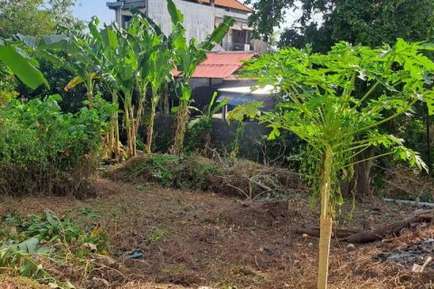 540m2 Land in Seminyak, Badung, Bali (5744) 4