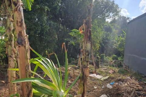 Tanah kavling 540m2 di Seminyak, Badung, Bali (5744)