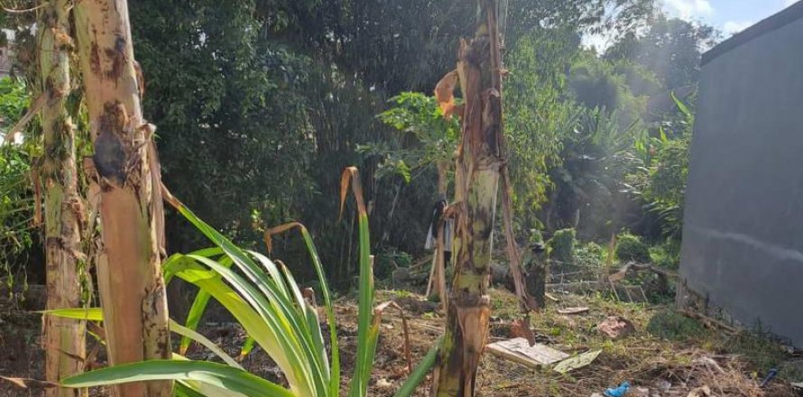 540m2 Land in Seminyak, Badung, Bali (5744)