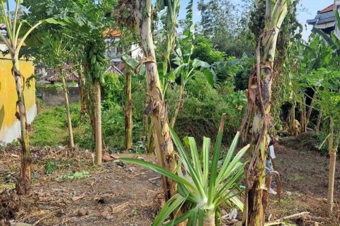 540m2 Land in Seminyak, Badung, Bali (5744) 7