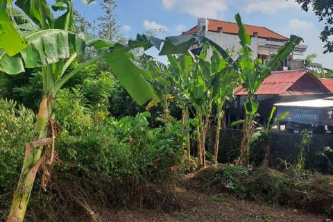 540m2 Land in Seminyak, Badung, Bali (5744) 6