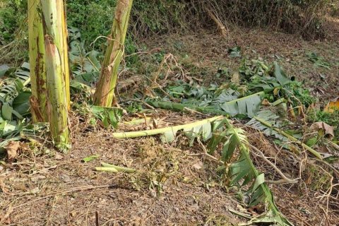 540m2 Land in Seminyak, Badung, Bali (5744) 12