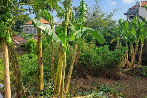540m2 Land in Seminyak, Badung, Bali (5744) 3