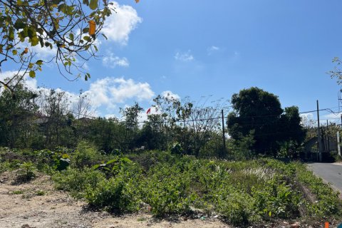Land in Ungasan, Badung, Bali (11732) 5