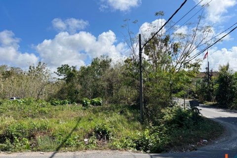 Land in Ungasan, Badung, Bali (11732) 6