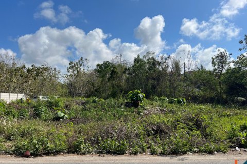 Land in Ungasan, Badung, Bali (11732) 7
