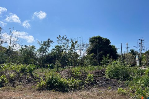 Land in Ungasan, Badung, Bali (11732) 3